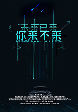 冬青树长什么样